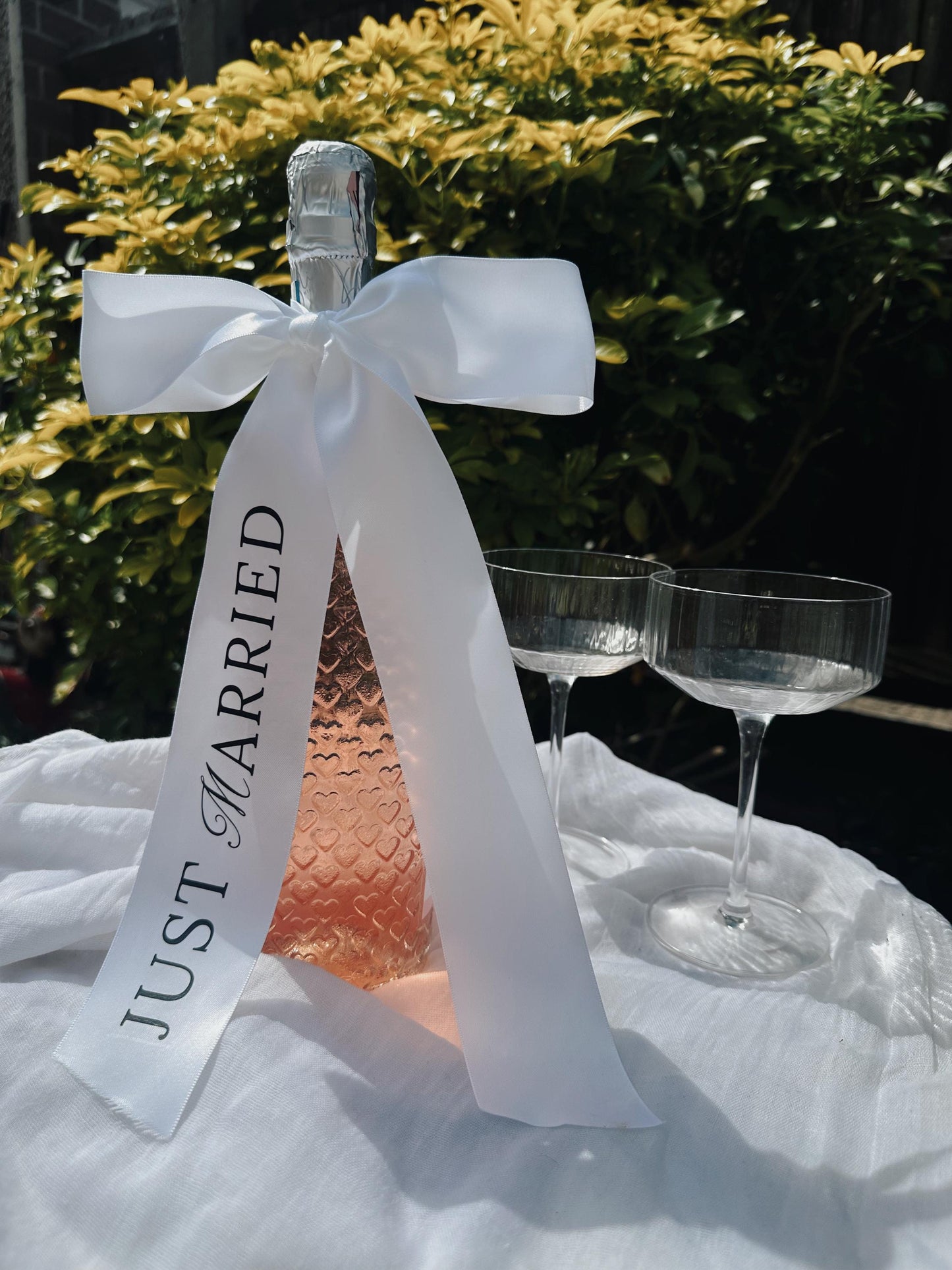 Champagne Bottle Ribbon