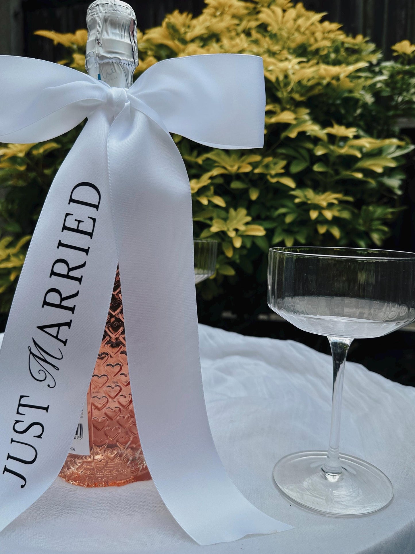 Champagne Bottle Ribbon